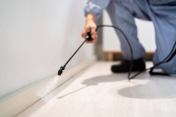 Licensed Cockroach Control service in Temple, TX - Nex Pest Control