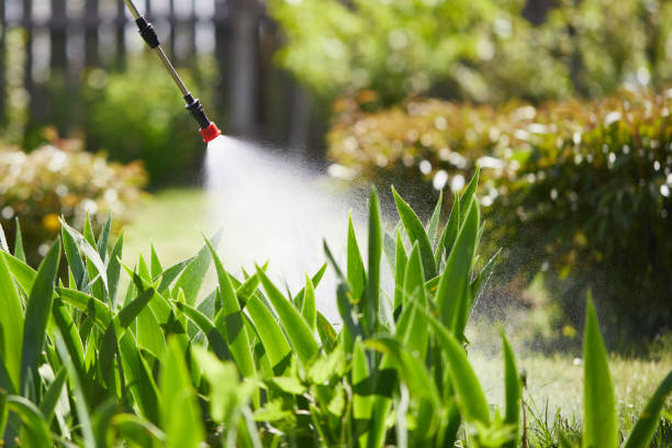 24/7 Emergency Cockroach Control experts in Temple, TX