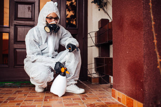 Reliable Cockroach Control contractor in Temple, TX by Nex Pest Control